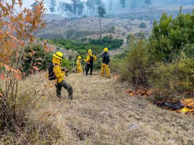 Durante la Semana Santa se registraron un total de 55 incendios forestales
