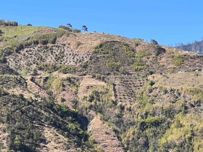 Las sombras del Parque Nacional Valle Nuevo