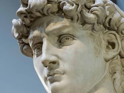 Proteger la escultura David de Miguel Ángel: un debate sobre la libertad de expresión