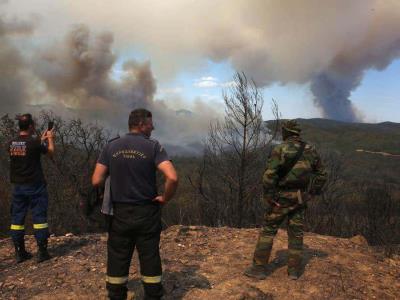 300 personas son evacuadas en Grecia a causa de un incendio en el bosque