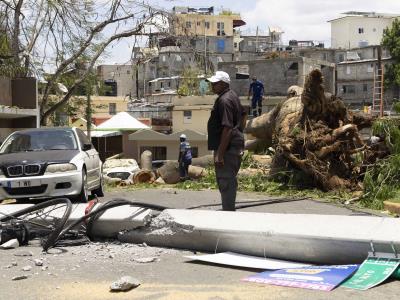 Árbol cae y provoca caos en el tráfico de la región de Los Ríos
