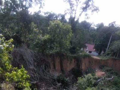 Comunidad incomunicada tras colapso de puente sobre el río Maguá