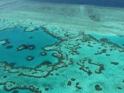 El calentamiento podría representar una amenaza para las profundidades de la Gran Barrera de coral