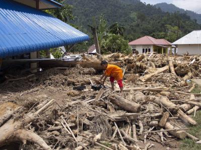 La deforestación en Indonesia incrementa la incidencia de desastres naturales debido a las lluvias