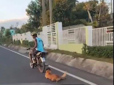 La Policía Nacional captura a un individuo por abuso contra un animal