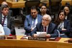 Consejo de Seguridad revive esperanza de Autoridad Palestina de entrar a ONU; EEUU dice que aún no