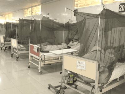 Perú sufre un preocupante incremento de casos de dengue