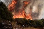 El mayor incendio en la historia de la UE sigue activo por 12mo día en Grecia