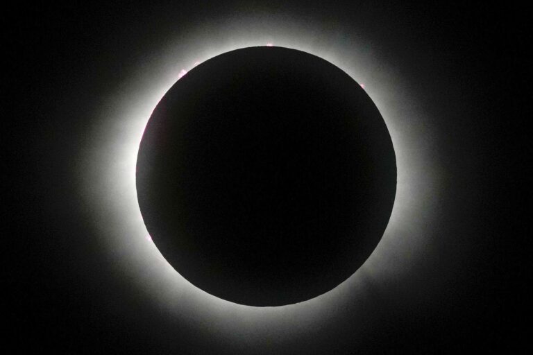 Un gran número de personas observan el Eclipse solar total en América del Norte