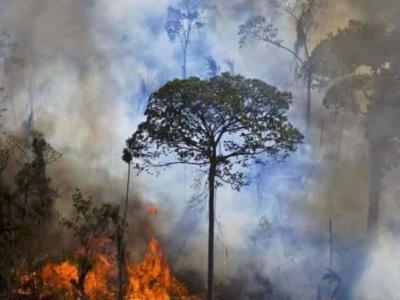 8,977 incendios en la Amazonía brasileña durante el primer cuatrimestre