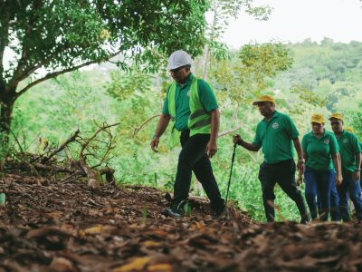 Apoyo de Ford para la Sostenibilidad a través de Donaciones Ambientales en 2024