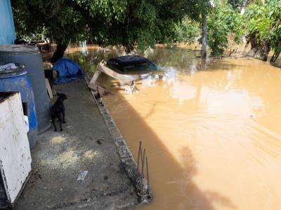 Buscan desarrollar pólizas de seguro accesibles en caso de desastres naturales