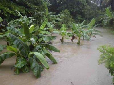 El cambio en el clima podría impactar los movimientos de migración en República Dominicana