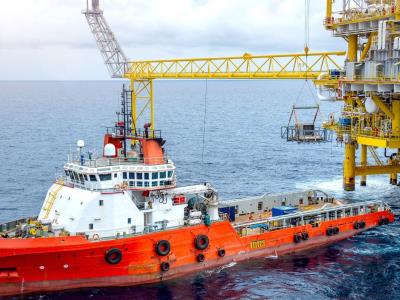 Expertos alertan sobre las consecuencias ambientales de la explotación minera en el fondo marino