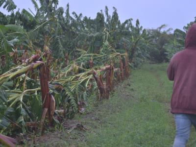 Factores que han provocado fuertes vientos en la región del Cibao