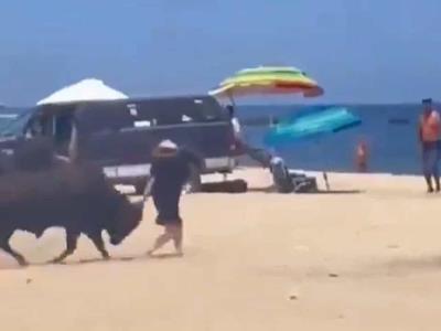 Impactante Incidente en Los Cabos: Mujer Atacada por Toro en la Playa