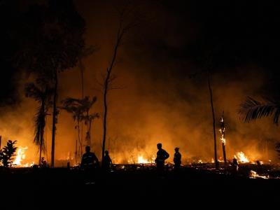 Incendios destruyen una extensión de 2,846 km² en la selva amazónica de Brasil