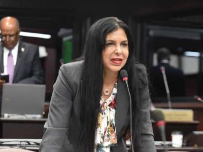 La Cámara de Diputados recibirá información acerca de la condena de Rosa Amalia Pilarte