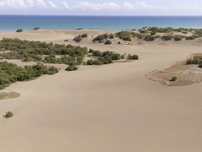 Las dunas de Baní: Inicio de la serie Delitos Ambientales