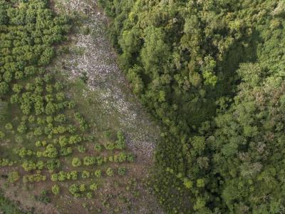 Las zonas de conservación natural, una asignatura pendiente para el Partido Revolucionario Moderno (PRM)