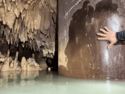 Preocupación de los ecologistas por los efectos del proyecto del Tren Maya