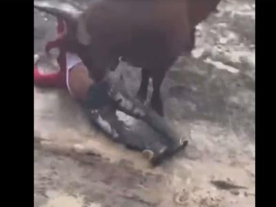 Un toro embiste a un joven durante las corridas tradicionales en El Seibo
