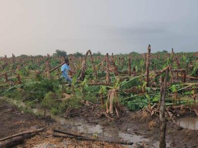 Vientos fuertes causan destrozos en zonas de la Línea Noroeste