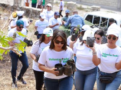 Voluntariado BHD realiza jornada de siembra