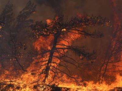Grecia continúa enfrentando numerosos incendios por tercer día consecutivo
