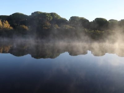 Impacto de la contaminación del aire en la salud de las personas