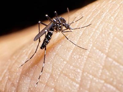 Índice de casos de dengue alcanza su punto más alto registrado en América