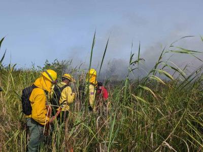 La intervención de los bomberos ha evitado que los incendios forestales causen daños
