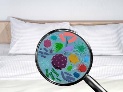 Microorganismos en la ropa de cama: Bacterias, hongos y ácaros