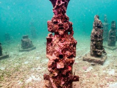 Un recinto subacuático conserva la vida de los corales en el Mar Caribe