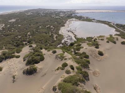 Academia de Ciencias opina sobre cambio de categoría a dunas de Baní