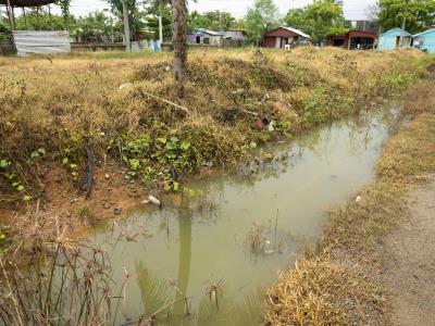 En Lechería exigen la limpieza de una zanja que contiene agua estancada