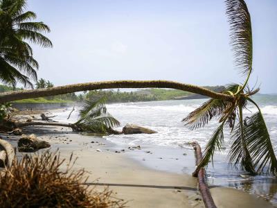 Huracán Beryl: Ayuda alimentaria de la ONU llega a los afectados en el Caribe