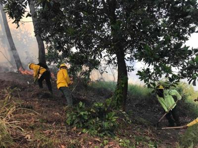 Incendio forestal en la Cienaguita bajo control