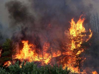 Macedonia del Norte pide ayuda para apagar incendios forestales