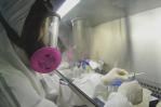 La gripe estacional H1N1 podría ser descendiente de la cepa pandémica de 1918