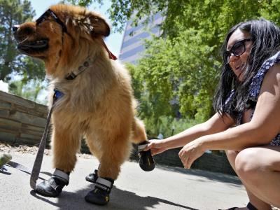 Calor extremo afecta recibo de luz de la mayoría de estadounidenses