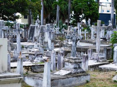 Cementerio de la avenida Independencia cumple de 200 años