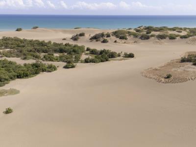 Concluye plazo a ocupantes en Dunas de Baní