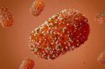Europa debe prepararse para más casos de viruela del mono (mpox)
