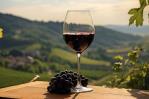 El boom de la industria del vino: qué bodegas tienen más posibilidades de triunfar