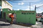 Pediatras actualizan plan de contingencia contra el dengue tras proyección de aumento en verano 2024