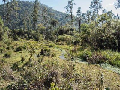 RD sube de puesto en ranking de desempeño ambiental