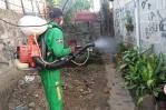 RD lleva tres semanas sin reportar casos de dengue, dice Salud Pública