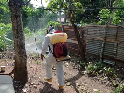 Reportan un caso de dengue tras tres semanas sin positividad