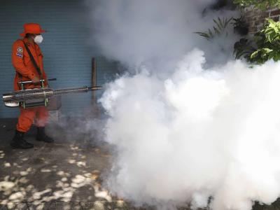 Sube a 7 el número de niños fallecidos por dengue en El Salvador